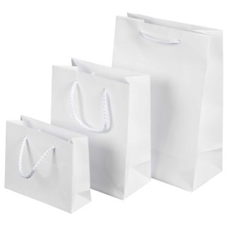 Paper Carry Bags